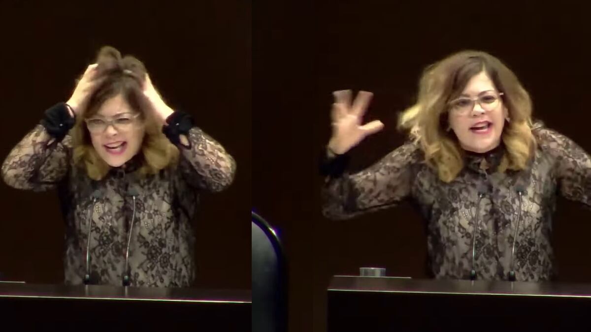 Lilia Aguilar Gil, la diputada del PT que se olvidó de la seriedad en la Cámara de Diputados en el debate del Ejército