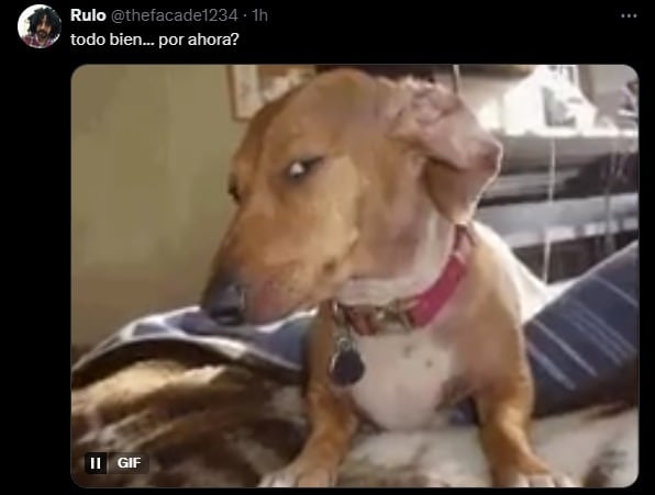 Grok responde estudio IA asesina de humanos