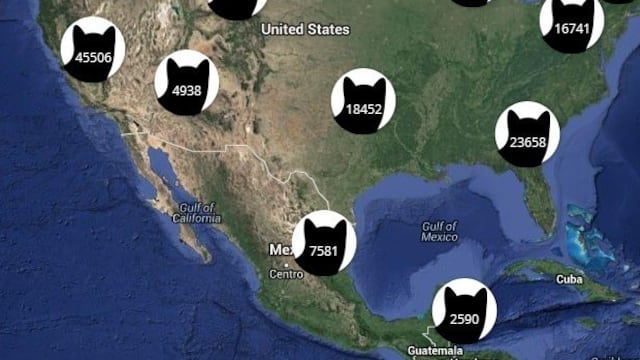Imagen: I Know Where Your Cat Lives