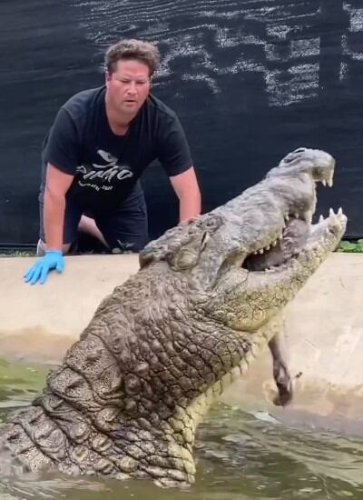 Dingo Dinkelman, El Steve Irwin de Sudáfrica