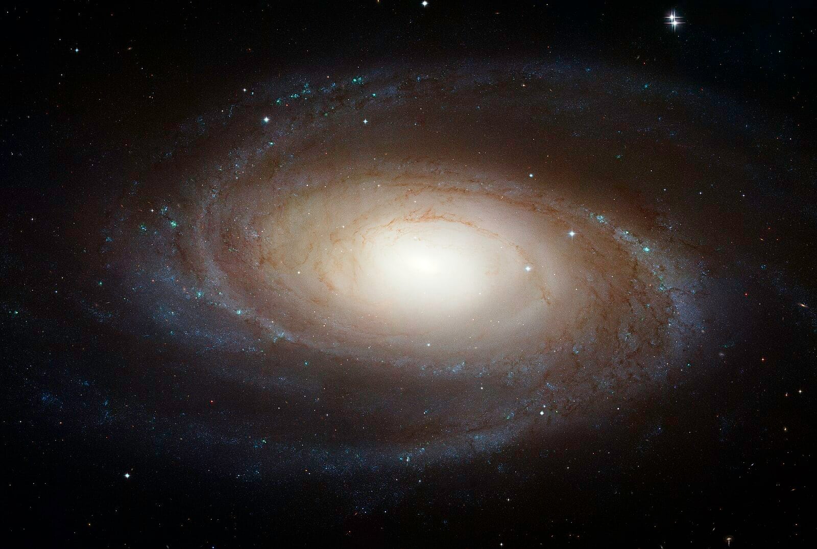 Galaxia Bode (M81)