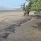 Pemex niega daño ambiental tras reporte de derrame en Bahía La Ventosa