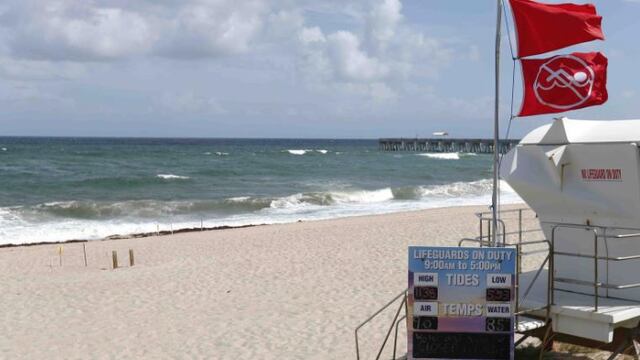 Playa de Florida. Bacteria.