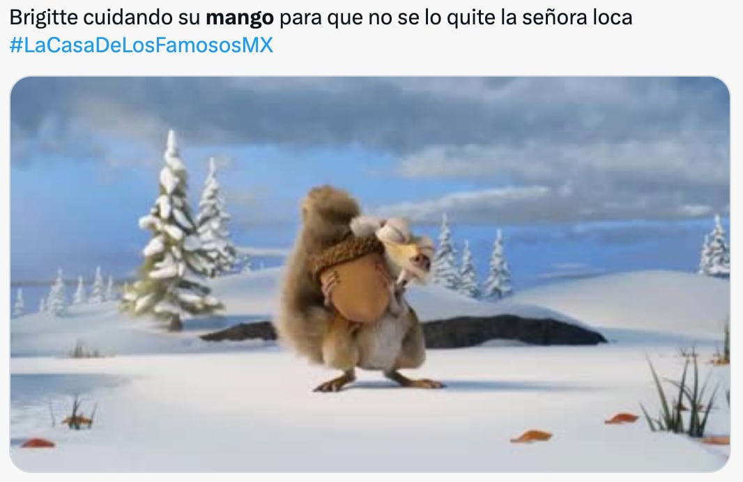 Memes del mango de Briggitte Bozzo en La Casa de los Famosos México 2024