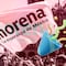 Morena celebra 12 años de su registro como partido político nacional