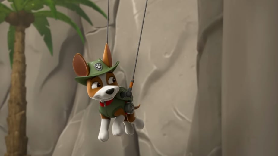 Paw Patrol y animales hipnotizados