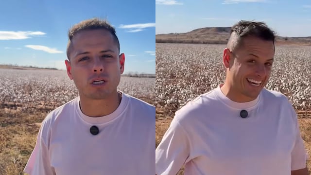 Chicharito reaparece en redes sociales con un vídeo de recapitulación de su 2025