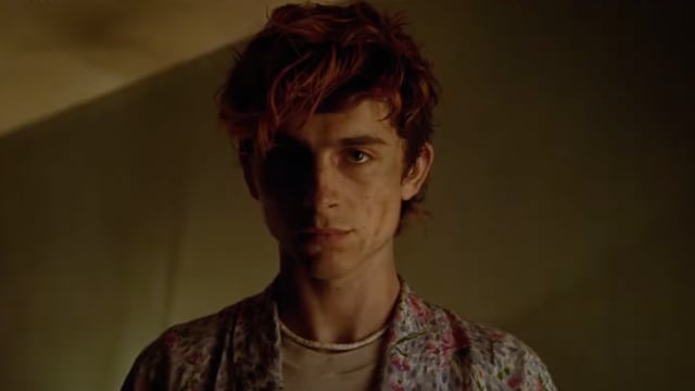 Timothée Chalamet se convierte en caníbal en el primer tráiler de ‘Bones and All’