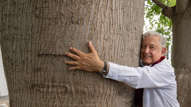 Andrés Manuel López Obrador, presidente de México, abraza un árbol durante su llegada al evento protocolario de Acciones para el bienestar de Oaxaca