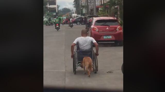 Perro