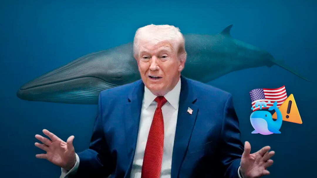 La medida eliminada por Donald Trump que amenaza a la ballena de Rice