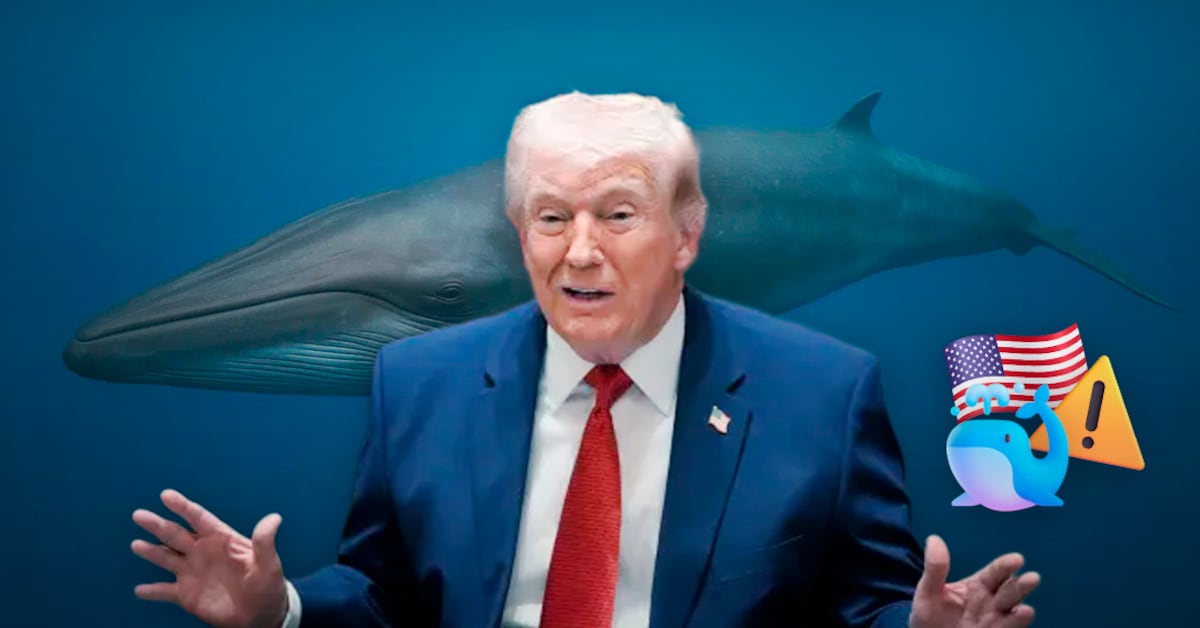 La medida eliminada por Donald Trump que amenaza a la ballena de Rice