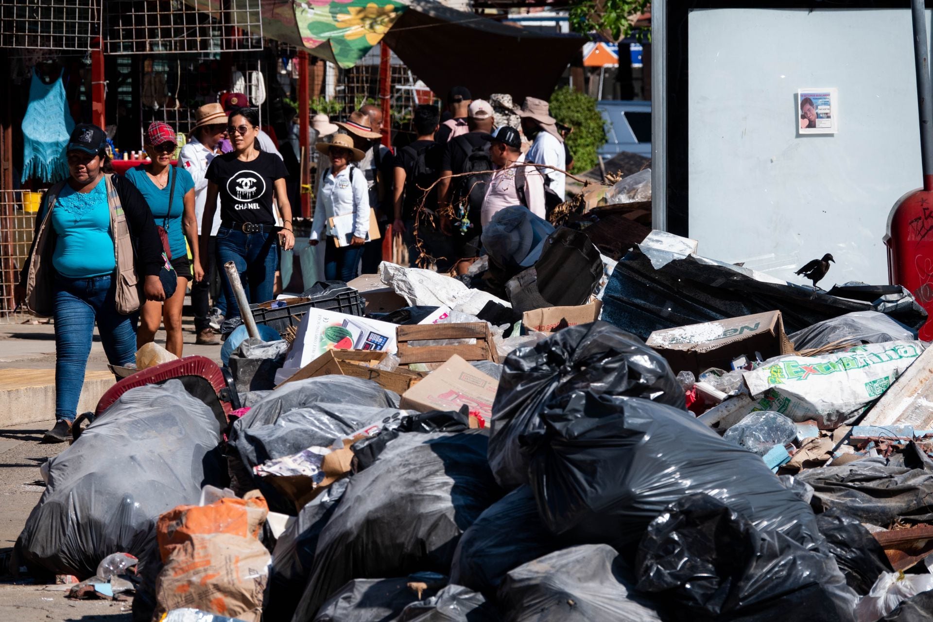 La recolección de basura se ha convertido en una tarea monumental en Acapulco tras el paso del huracán Otis, recogerla tardará alrededor de dos años.