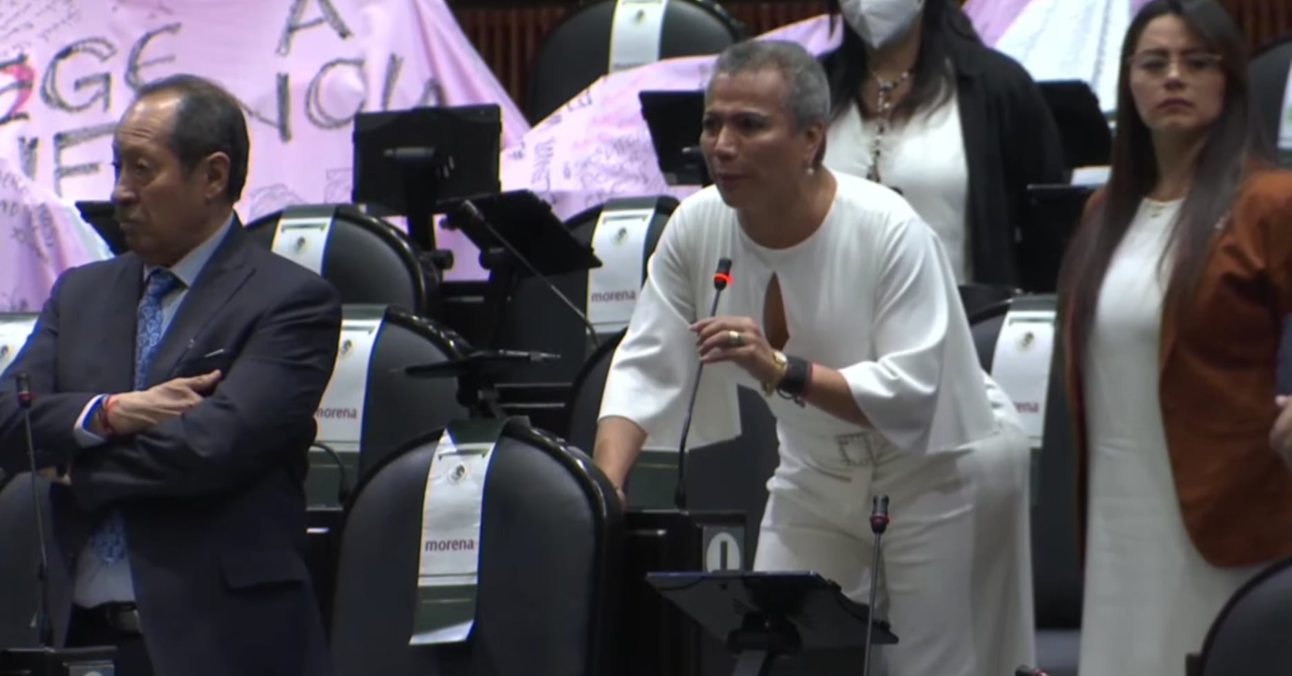 Diputada Salma Luévano