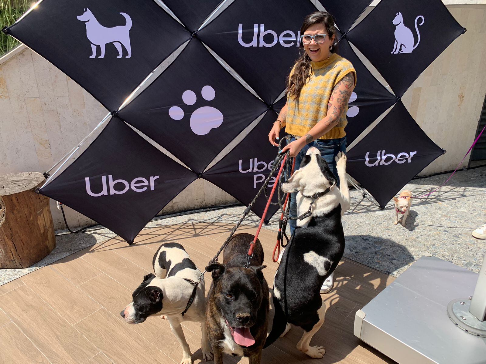 Uber presentó Uber Pet en CDMX