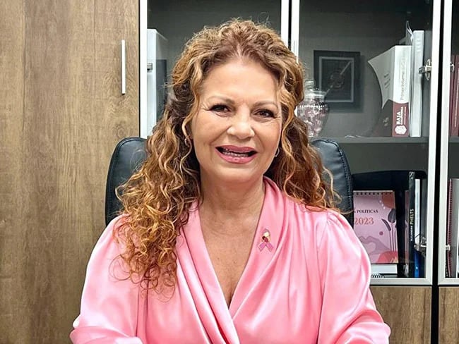 Secuestran al hijo de la diputada morenista Rocío López Gorosave