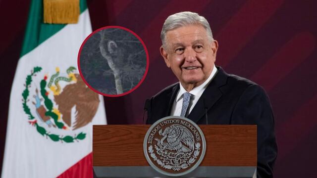 AMLO