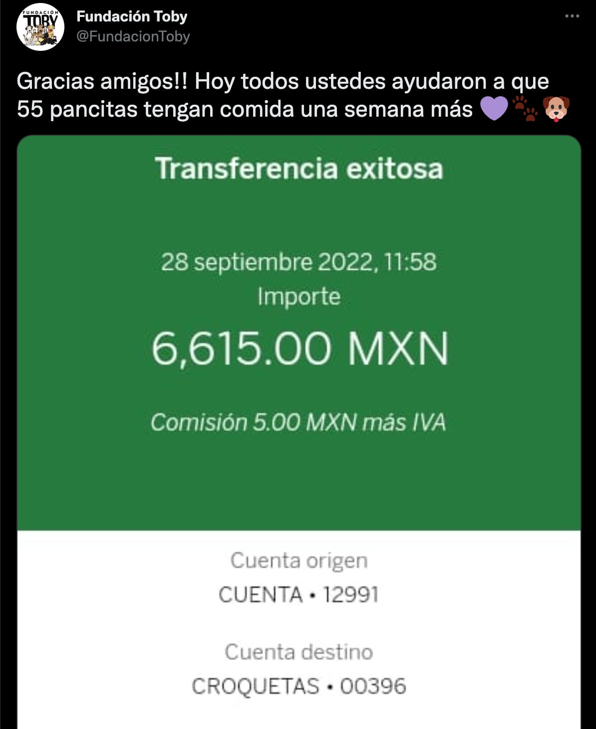 Fundación Toby, que rescata perritos, peligra por esta terrible razón