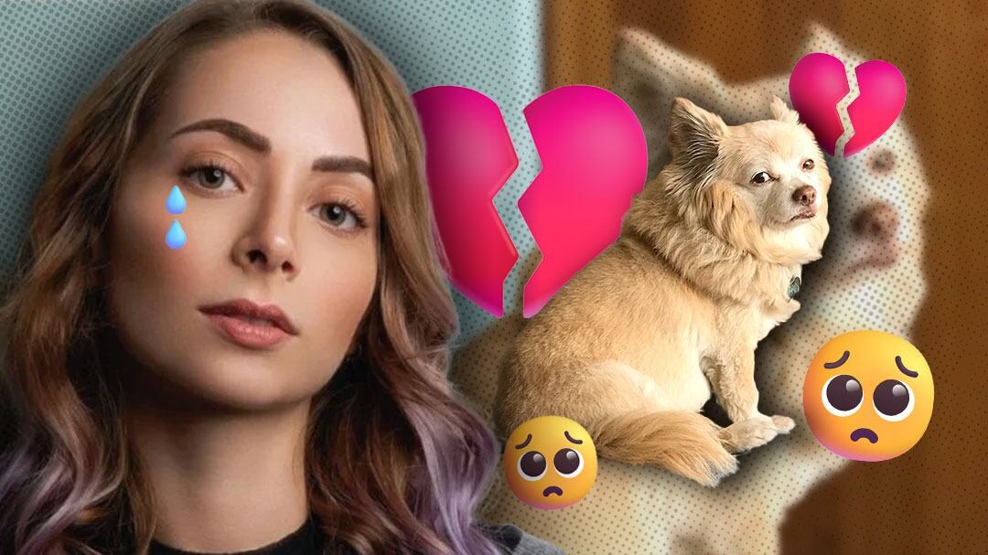 Yoseline Hoffman, YosStop, está triste porque a su perro “ya no le queda mucho”