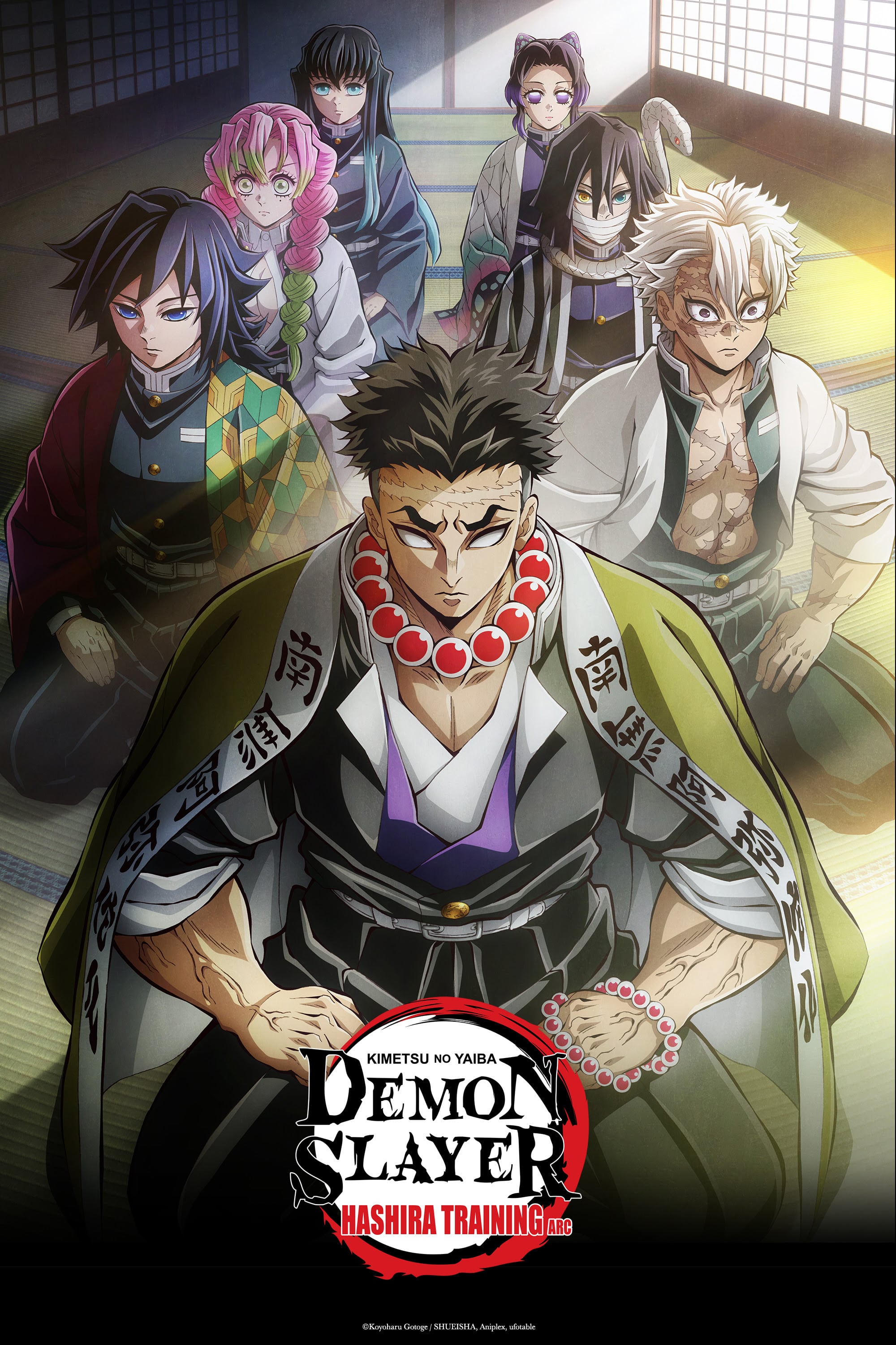 Demon Slayer: Kimetsu no Yaiba Arco del Entrenamiento de los Pilares