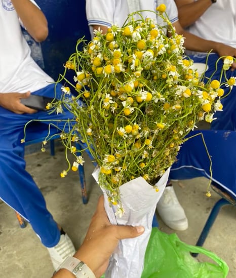 ramo de manzanilla por las flores amarillas
