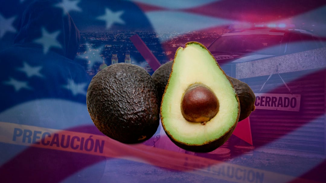 El aguacate está perdiendo terreno Estados Unidos ante la inseguridad, asegura experto