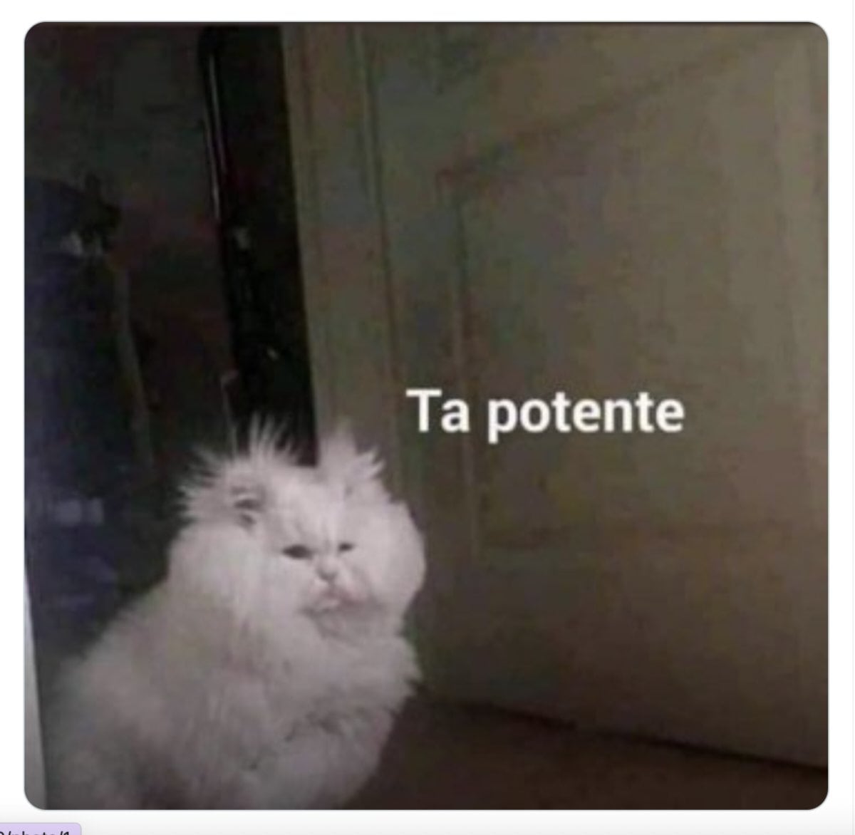 Memes del refuerzo de la vacuna AstraZeneca