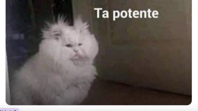 Memes del refuerzo de la vacuna AstraZeneca