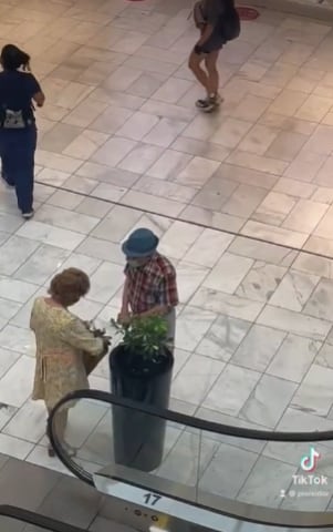 Abuelita robándose planta en un centro comercial