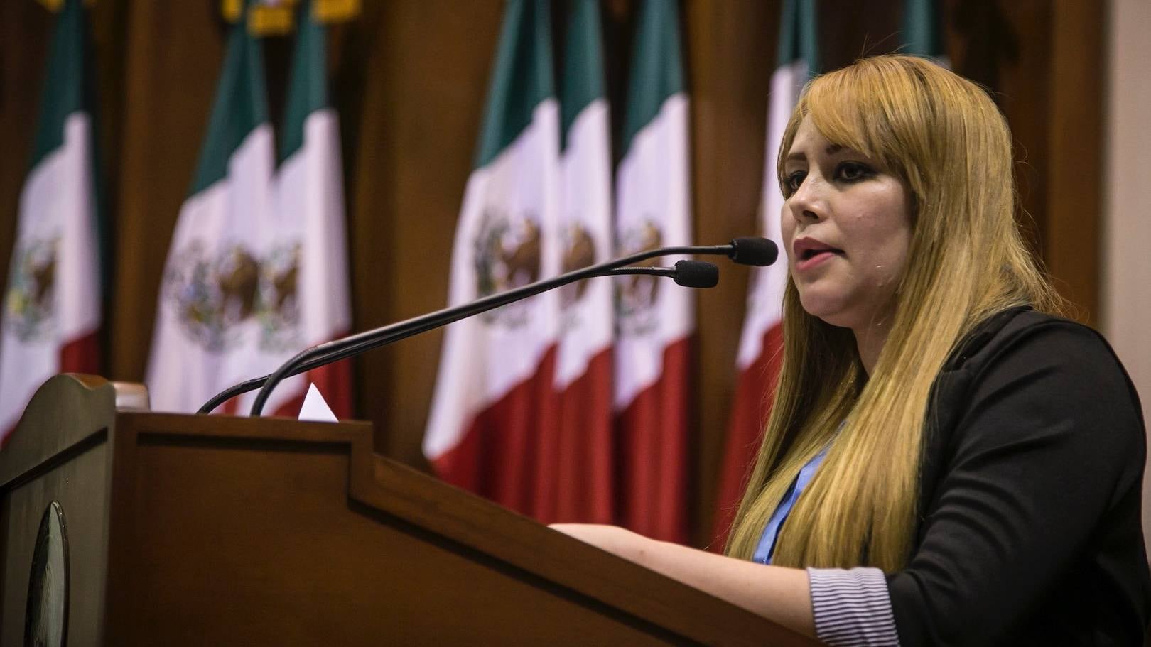 Lucero Guadalupe Sánchez. Retiro de fuero.