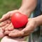 12 frases de bondad y agradecimiento para dedicar en el Día Mundial de la Bondad