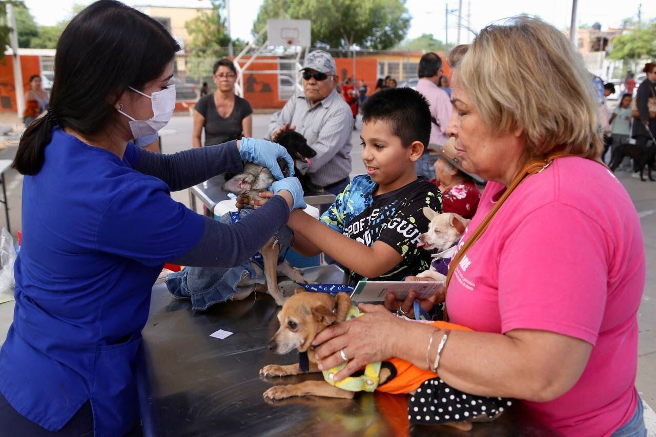 Alfonso Durazo celebra un año de 33 mil servicios brindados a animales de Sonora