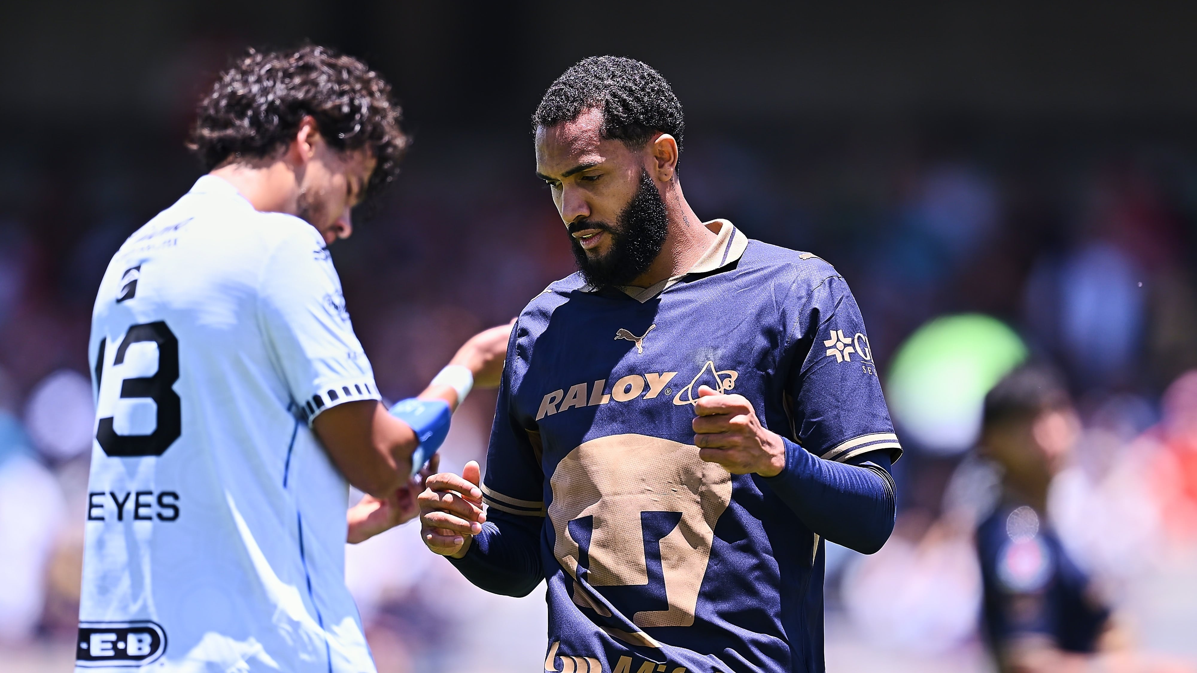 Pumas y Querétaro dividen puntos en la Jornada 4 de la Liga MX