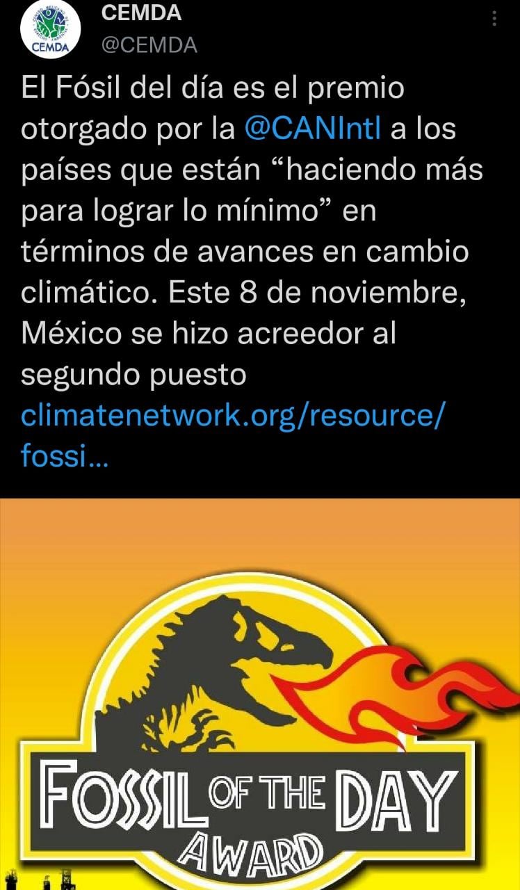 ‘Fósil del Día’