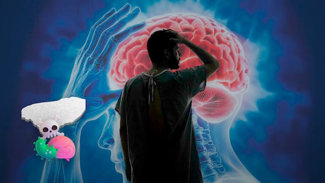 Confirman muerte en Mérida por Naegleria fowleri, la ameba “comecerebros”