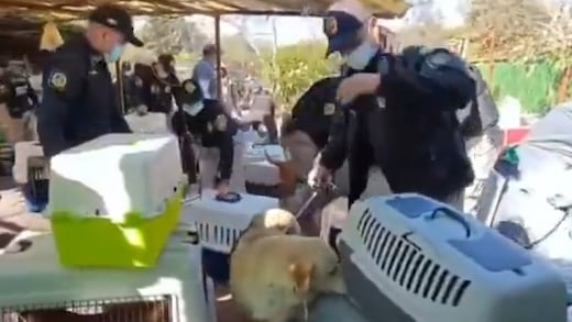 Refugio Franciscano se defiende y rechaza desalojo de animales