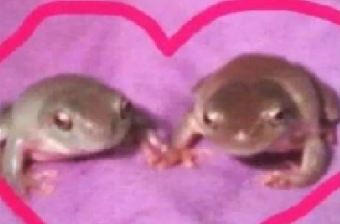 Meme del Día del Diseñador