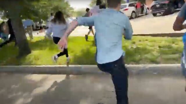 Estampida tarjetas NVIDIA