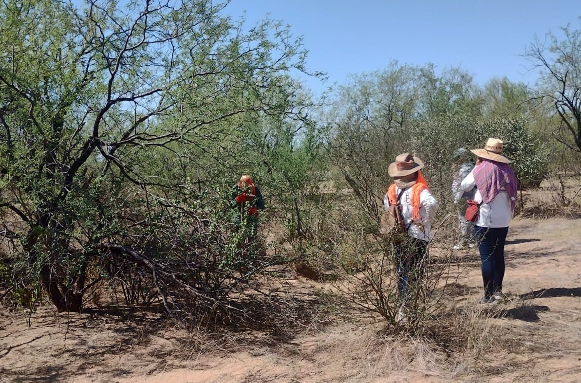 Desaparecidos en México