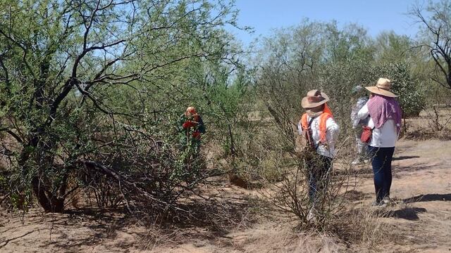 Madres Buscadoras de Sonora
