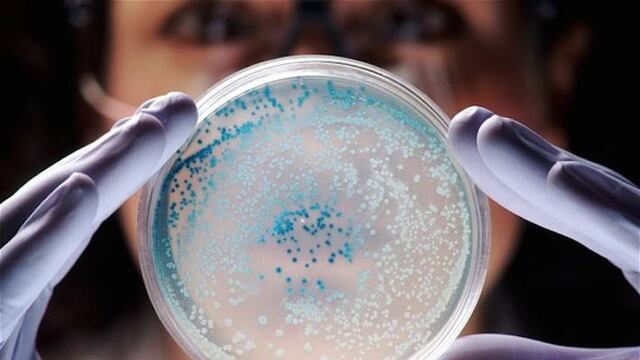 Las bacterias podrían ser resistentes a los antibióticos en algunos años