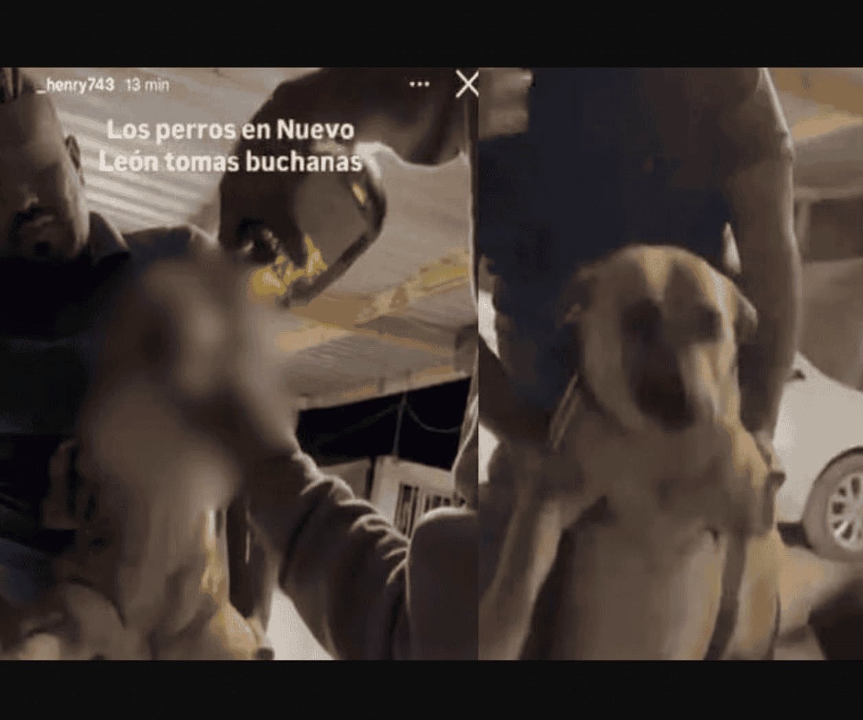 Video de hombres que hacen beber whisky a un perro provoca indignación en Nuevo León