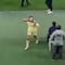 ¿Quiñones 2.0? Kiana Palacios provoca a fans de Chivas tras ser expulsada en Clásico Nacional