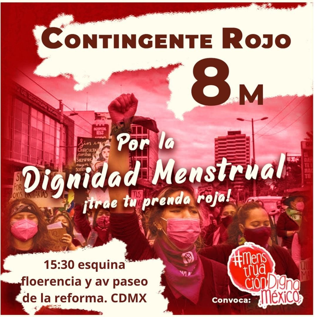 Contingente de Menstruación Digna