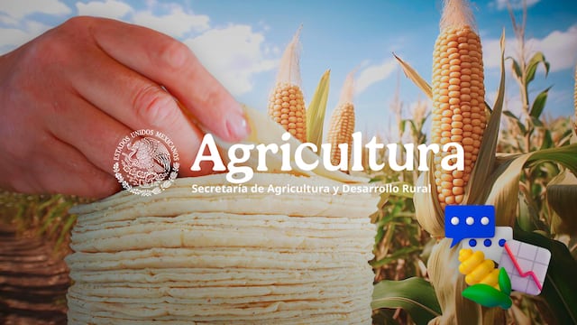 Tortilleros buscan con Sader bajar el precio de la tortilla.