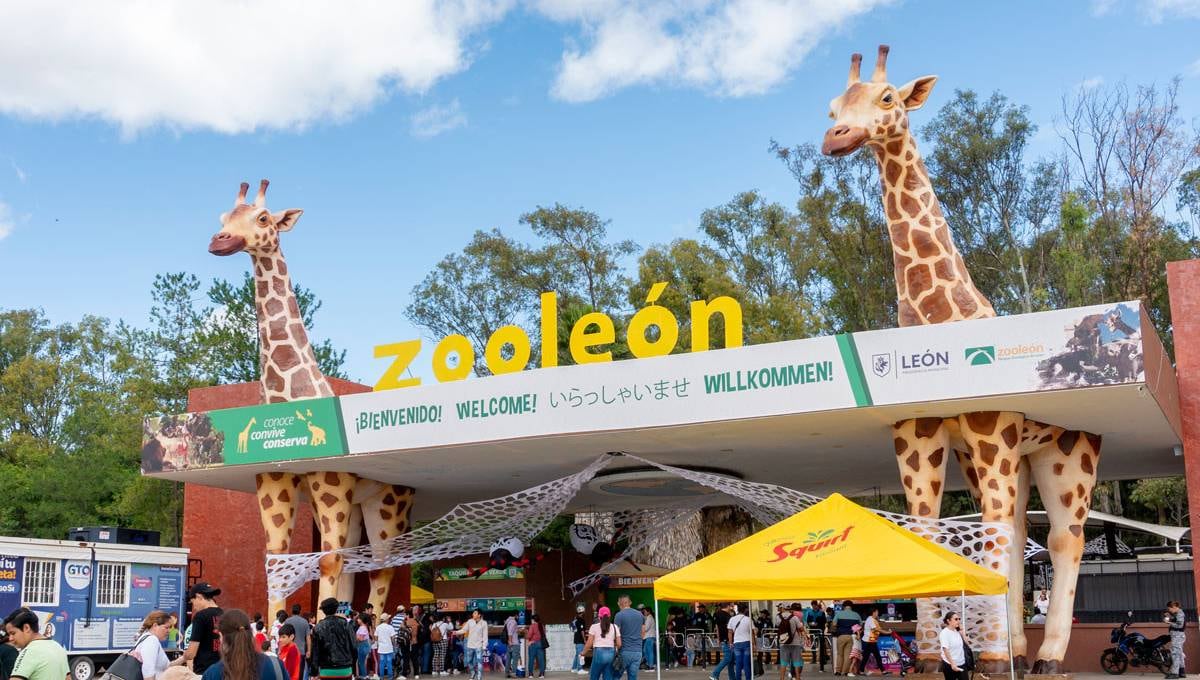 Zoológico de León