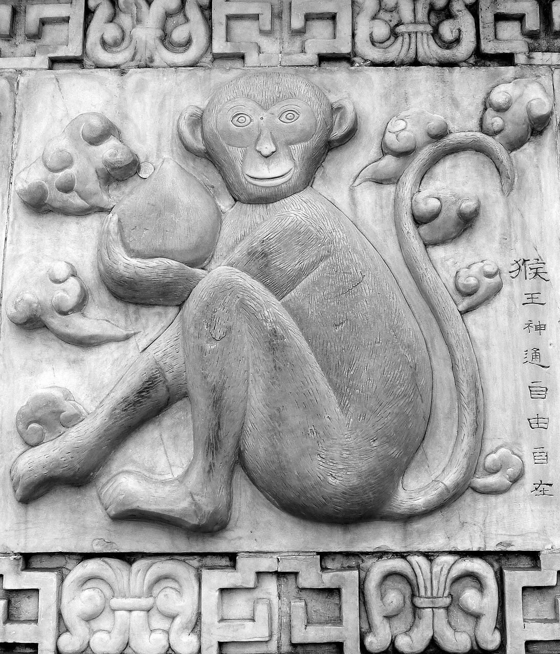 Mono, animal del horóscopo chino