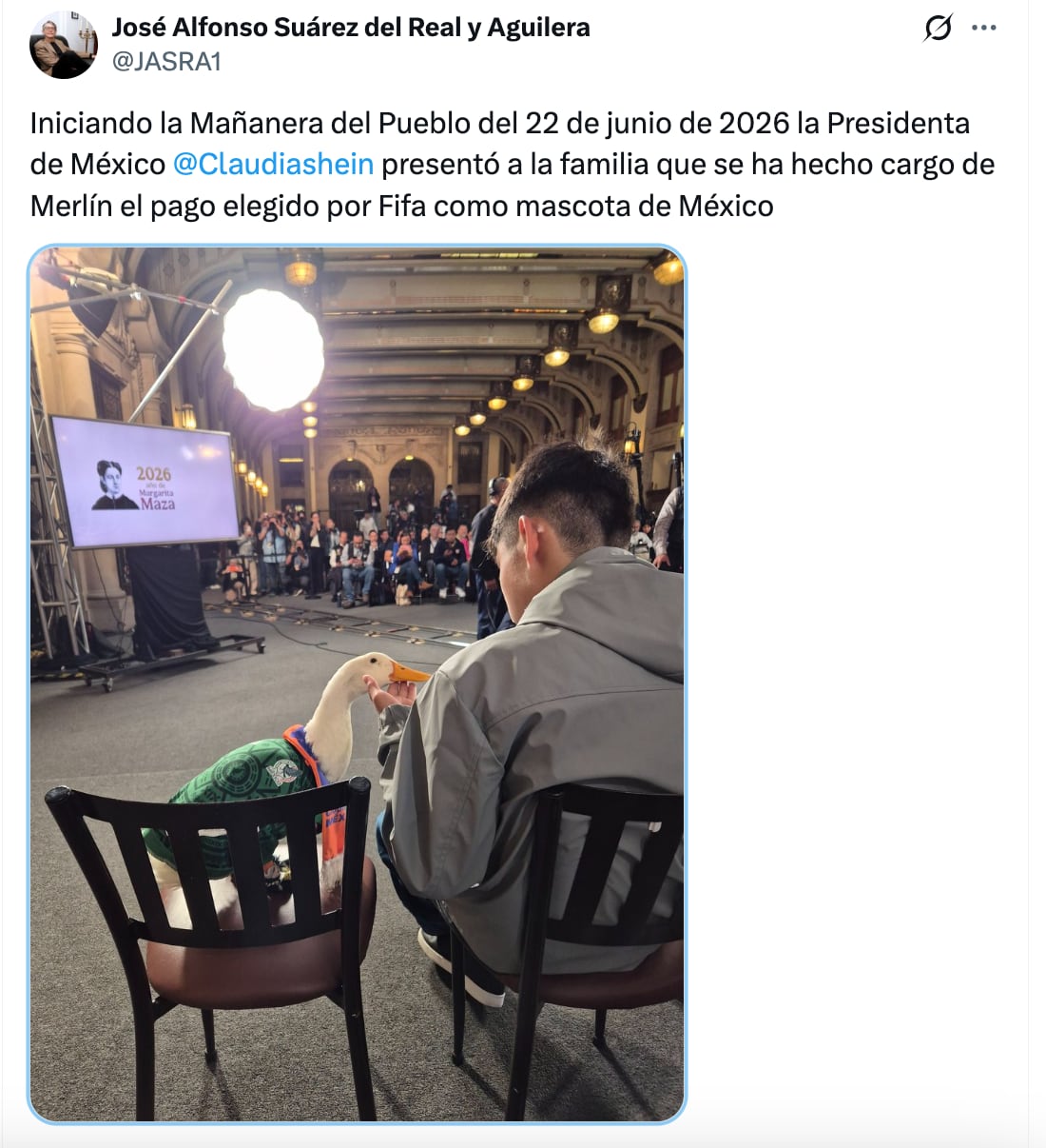 El Pato Merlín roba cámara durante la conferencia de Claudia Sheinbaum