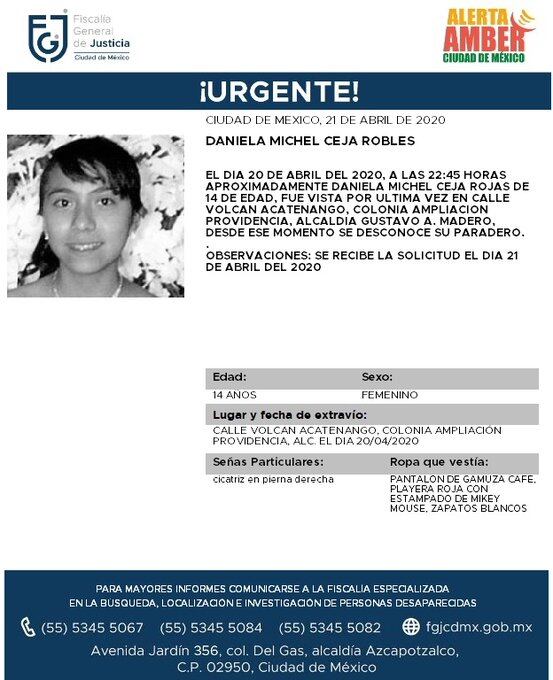 Ficha de búsqueda de Daniela.