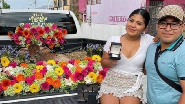 Regala un becerro a su novia por aniversario